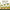 A2 Uthukuli Ghee